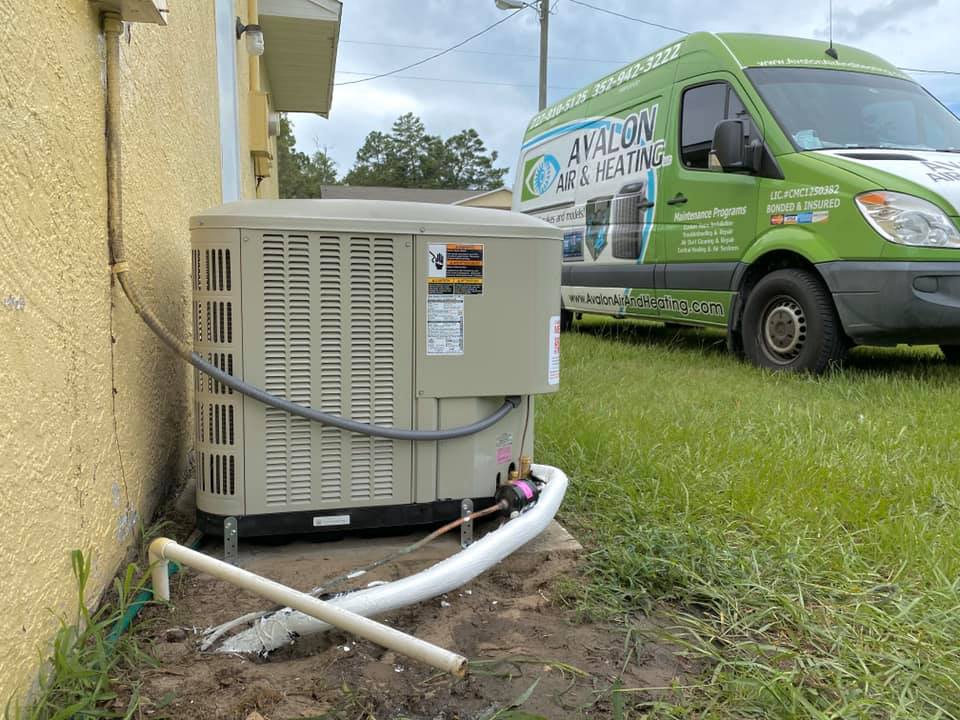 117336779 1657909214376651 2830064686007420633 n